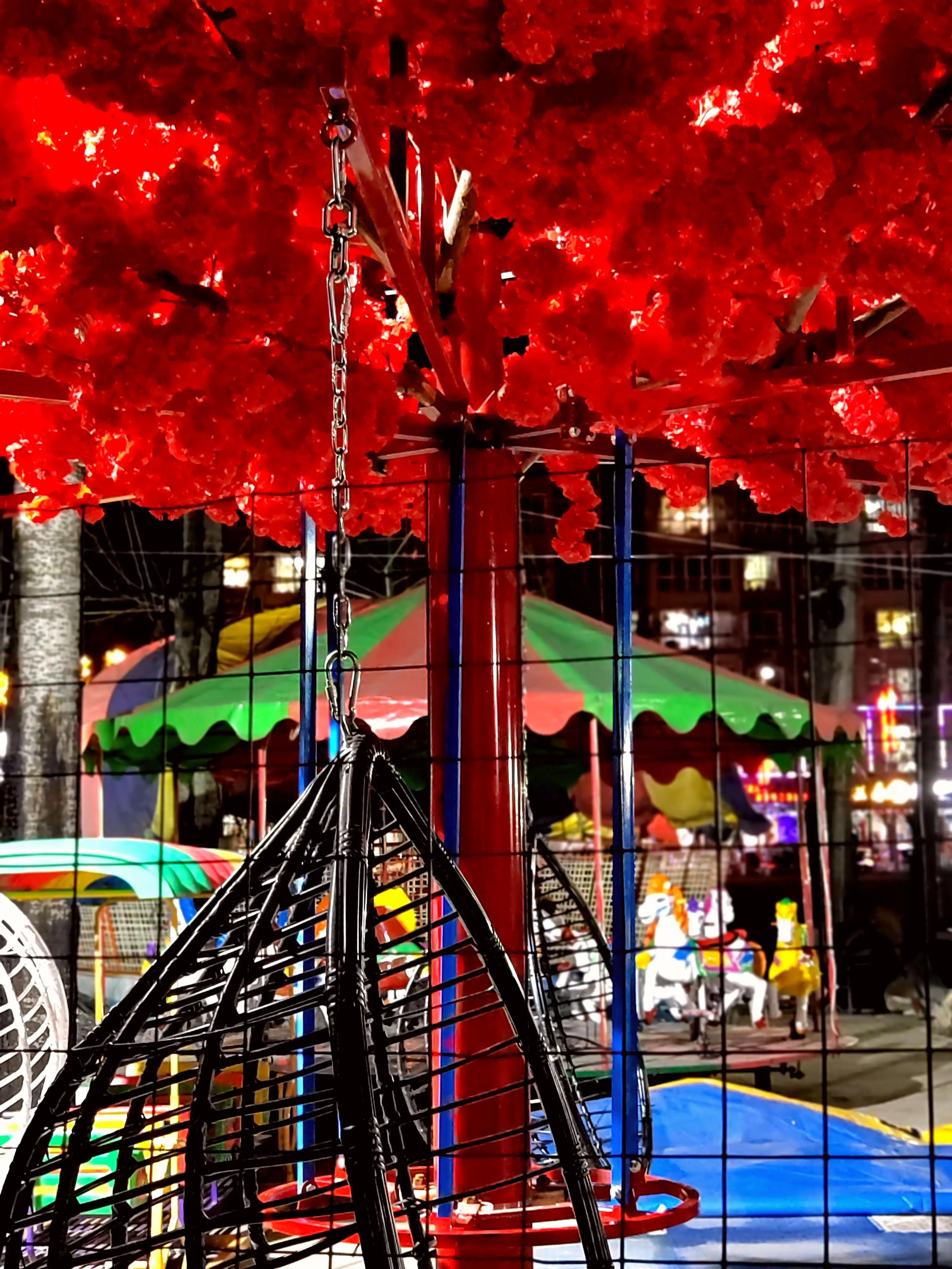 建业之夜,建邺之夜演唱会