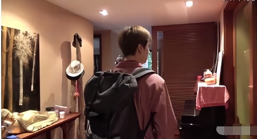 参加韩国sm海外练习生选秀,金色大厅维也纳成员