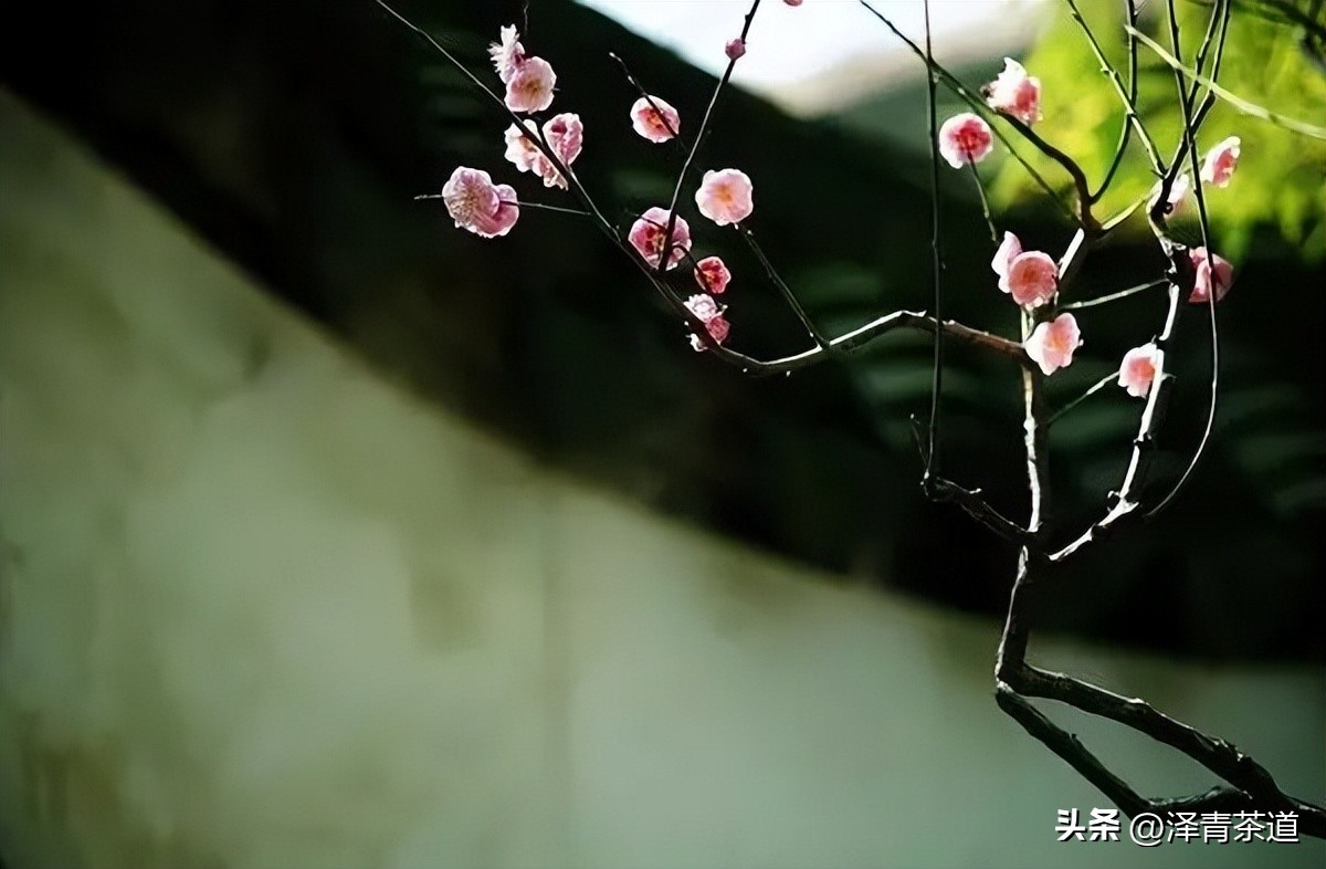 写春天的著名唐诗宋词加赏析,100首关于春天的唐诗宋词