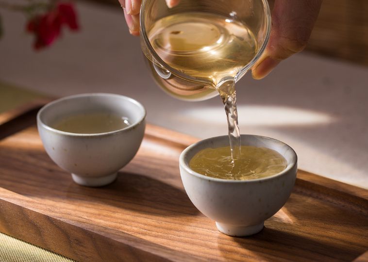 大益茶之旅普洱茶,普洱茶茶文化知识讲解