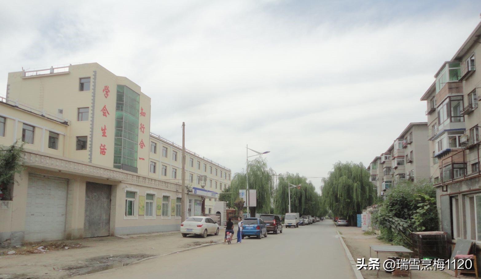 沈阳市第七中学苏区分校,沈阳市第七中学历史提纲