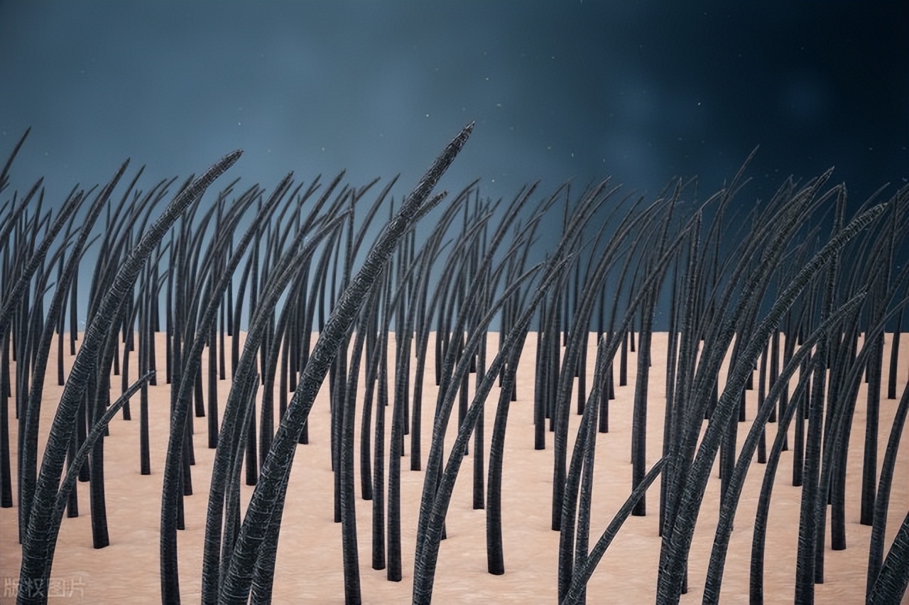 *处私**的毛到底有什么用，太旺盛能刮掉吗？听听医生的分析