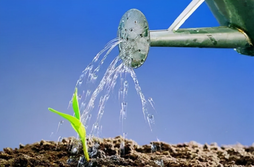 生活小窍门100个实用技巧,实用有趣省电省钱小窍门妙招姐