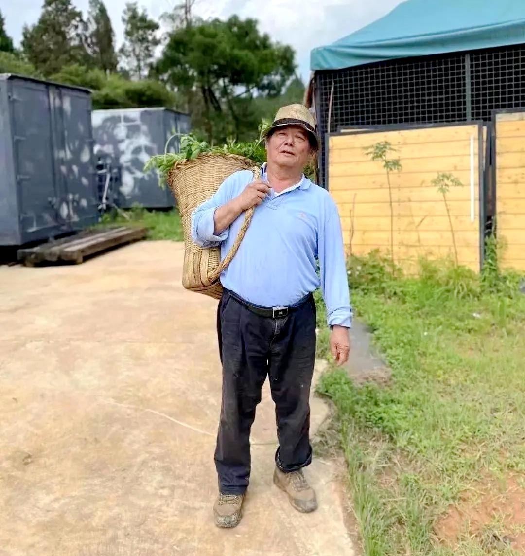 走过知青企业家——高层清洗第一人、知青当上傣族村长