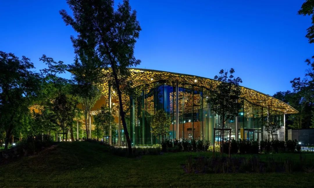 与藤本壮介一起走进金色叶子‘殿堂’，匈牙利音乐之家