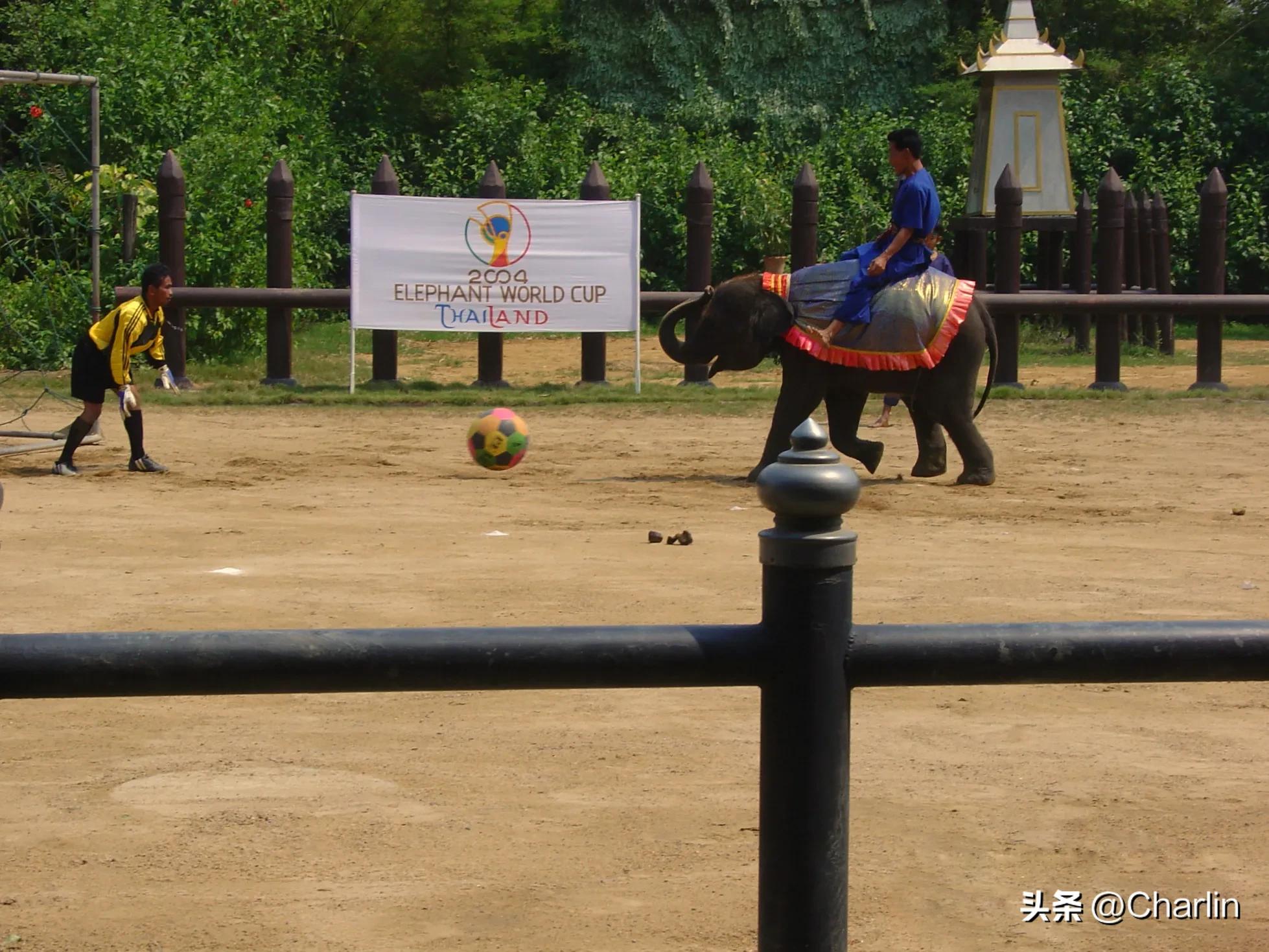 印度尼西亚旅行篇,泰国新加坡印度尼西亚完整版