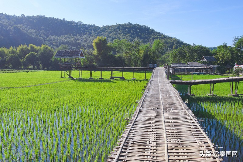泰国假期旅游景点攻略推荐,泰国1月旅游必去十大景点