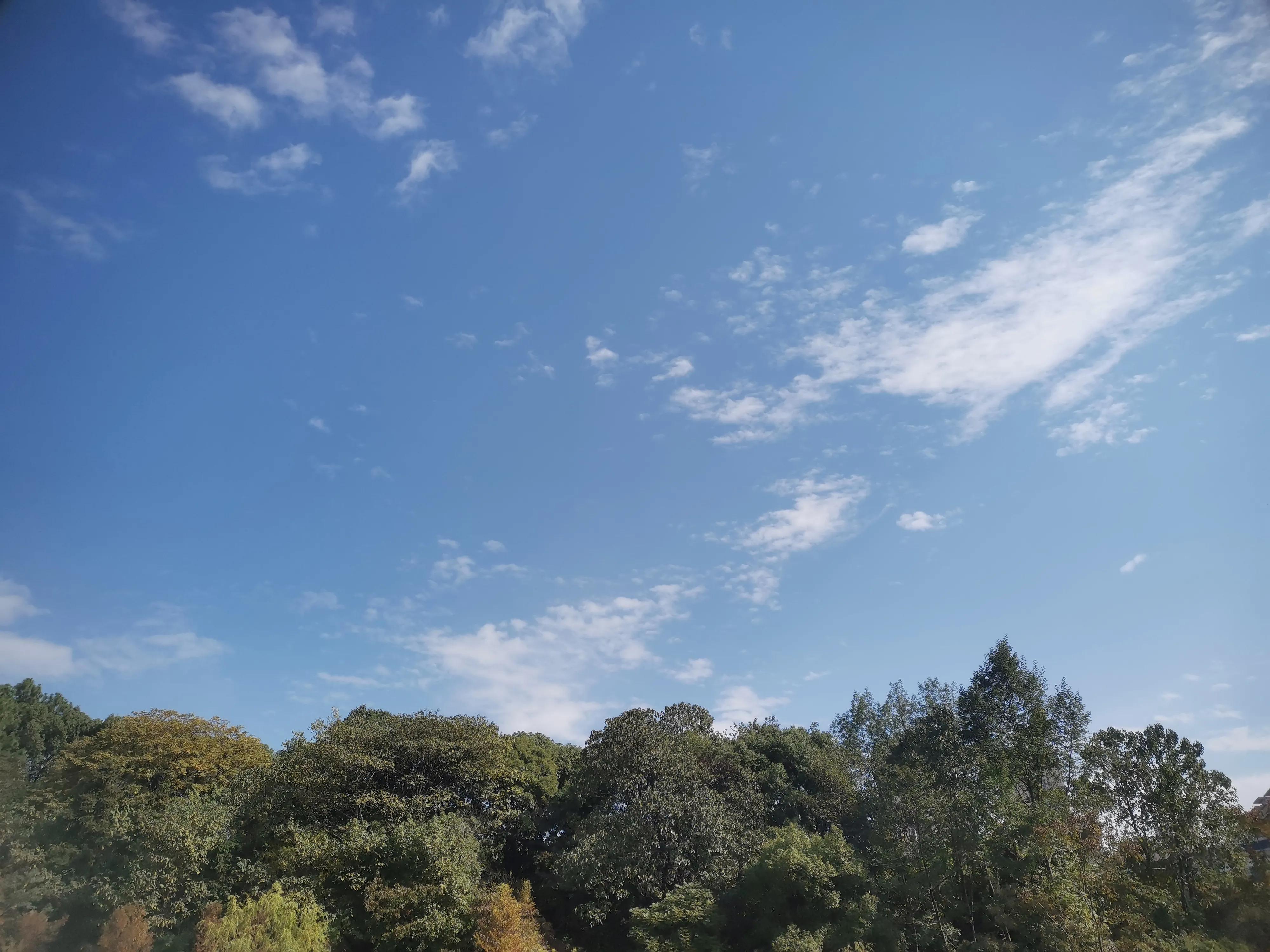 新的一月第一天文案高级感走心,关于这一年文案简单高级