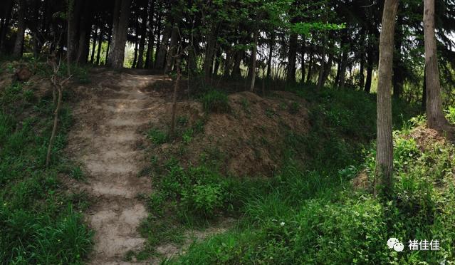 东周城址,淹城春秋战国视频