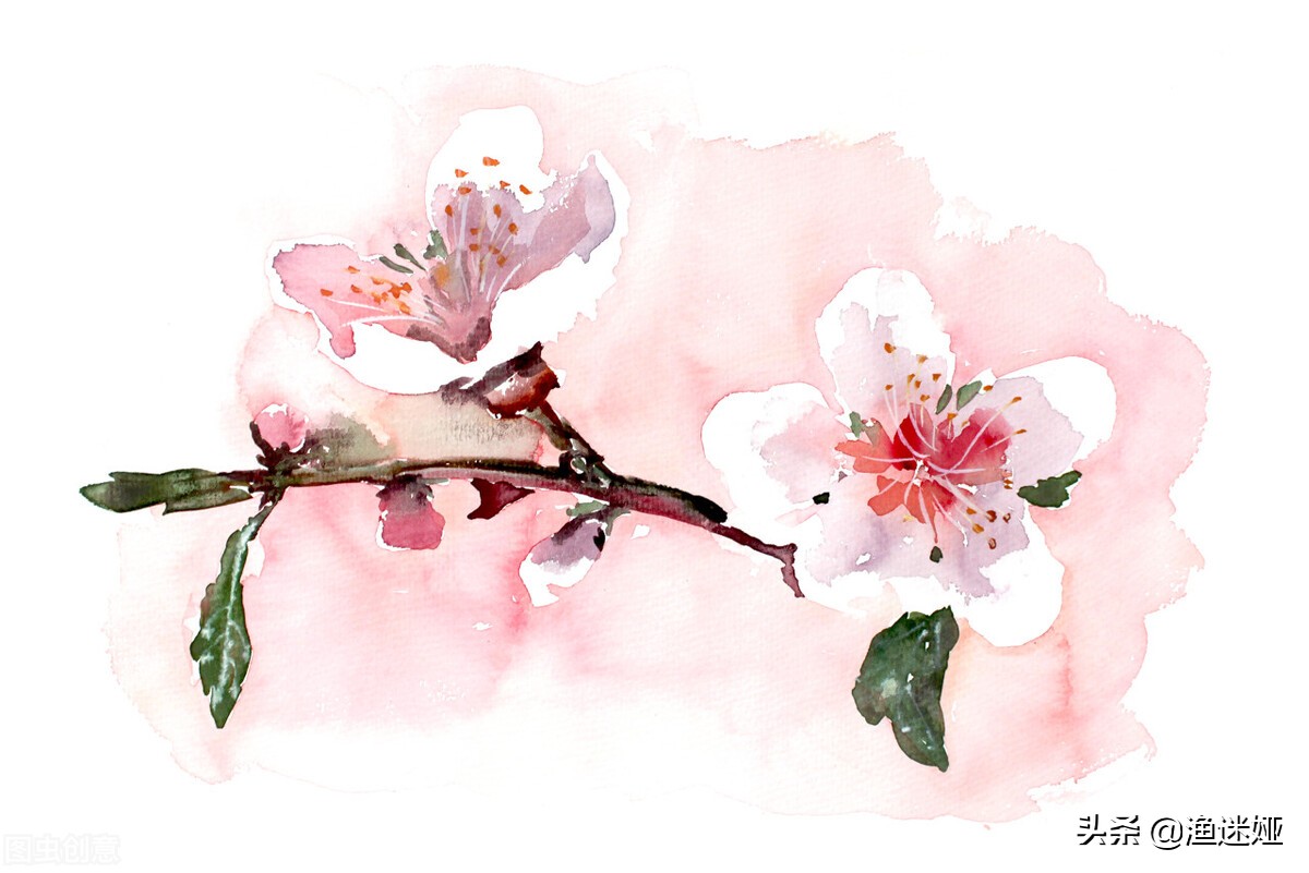 十二星座最适合报什么专业,十二星座适合的社团