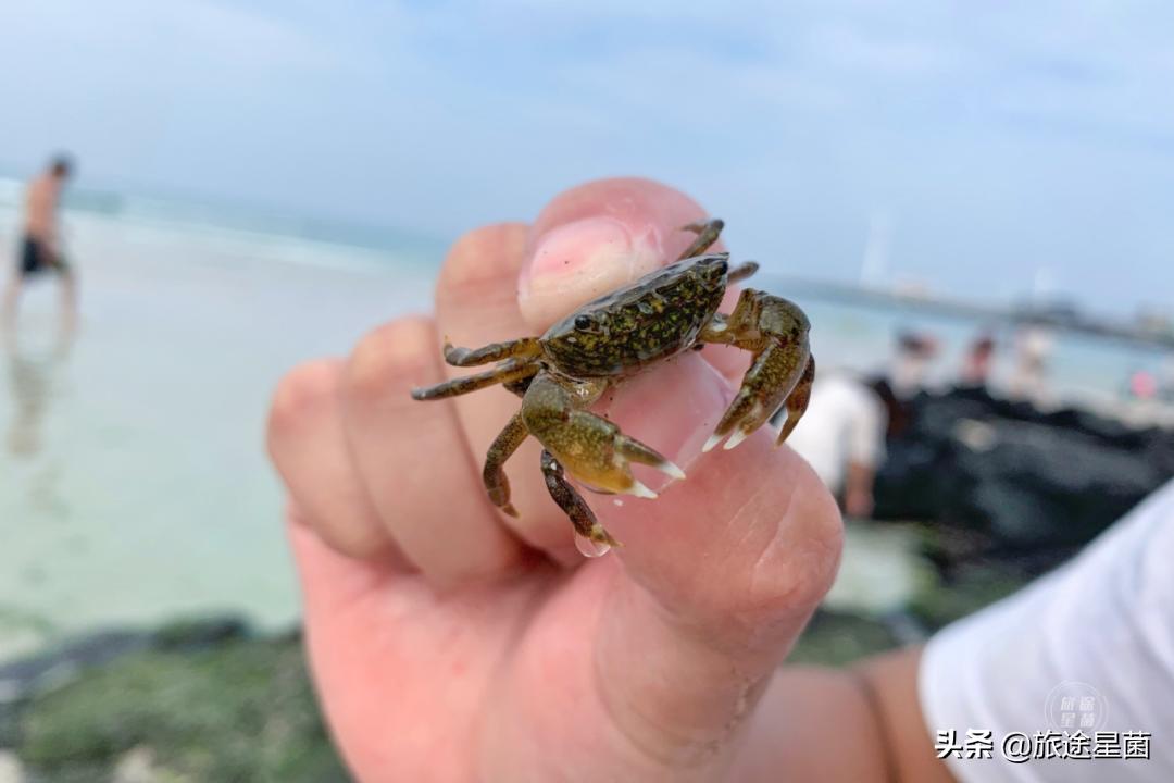 韩国|九月初的济州岛，时有风，偶有雨