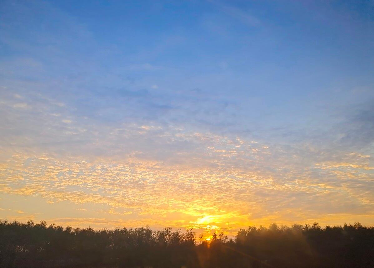 鉴赏史铁生的散文,鉴赏史铁生散文集