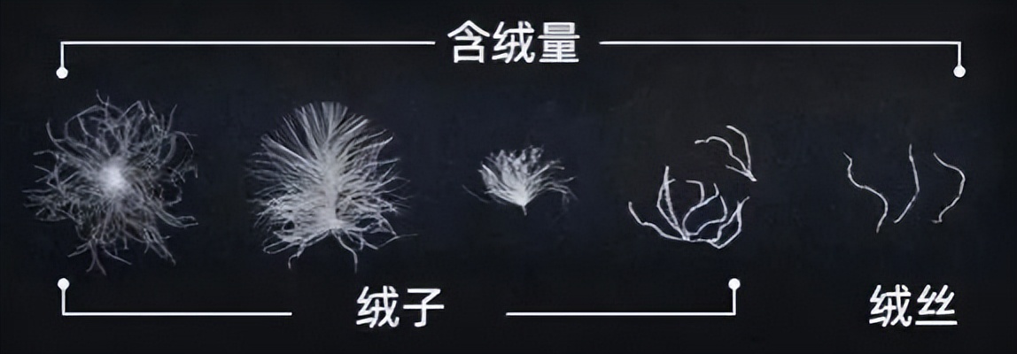 买羽绒服怎么看新国标还是旧国标,新国标羽绒服条款