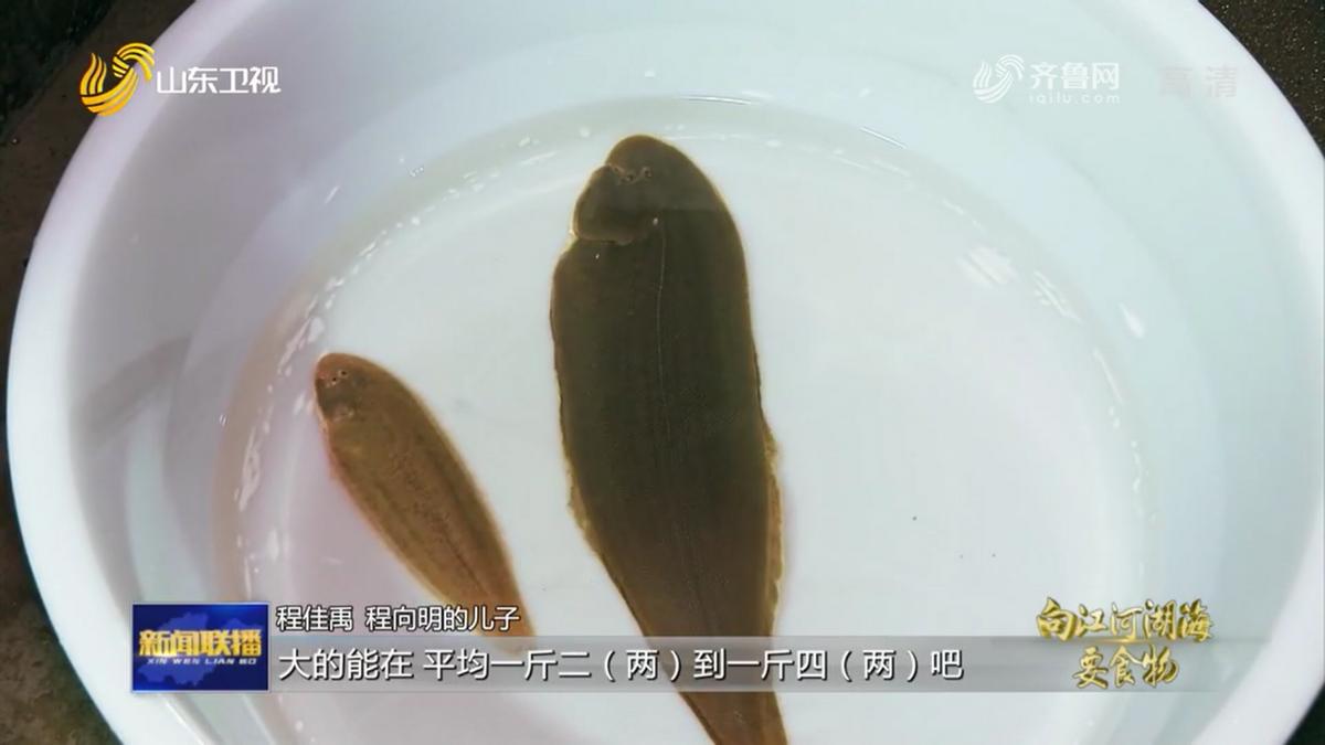 也是有故事的“鱼虾蟹”，看山东怎样向江河湖海要食物