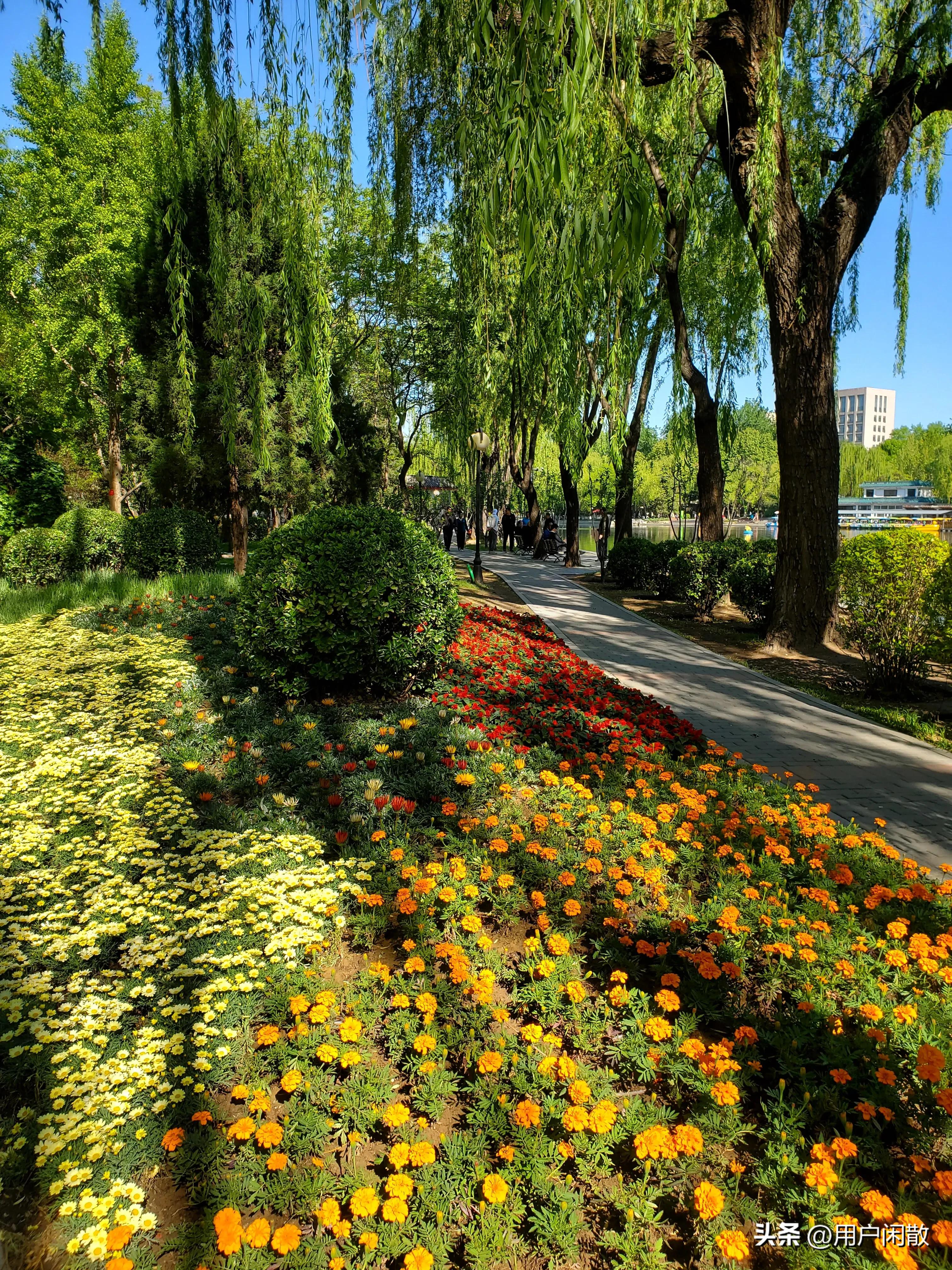 小清新养眼城市中藏着的迷你公园,城市中的静谧公园