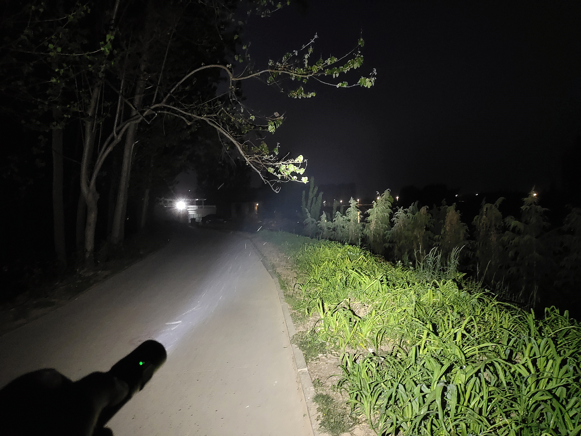 鍌查浄warrior3s,鍌查浄姝﹀＋warrior3s