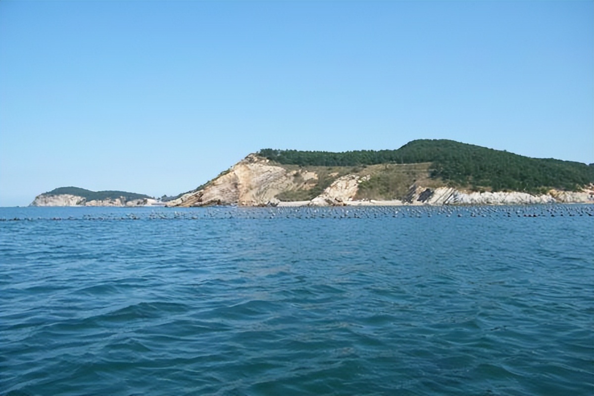 大连渔业发展,大连有多少种鱼类