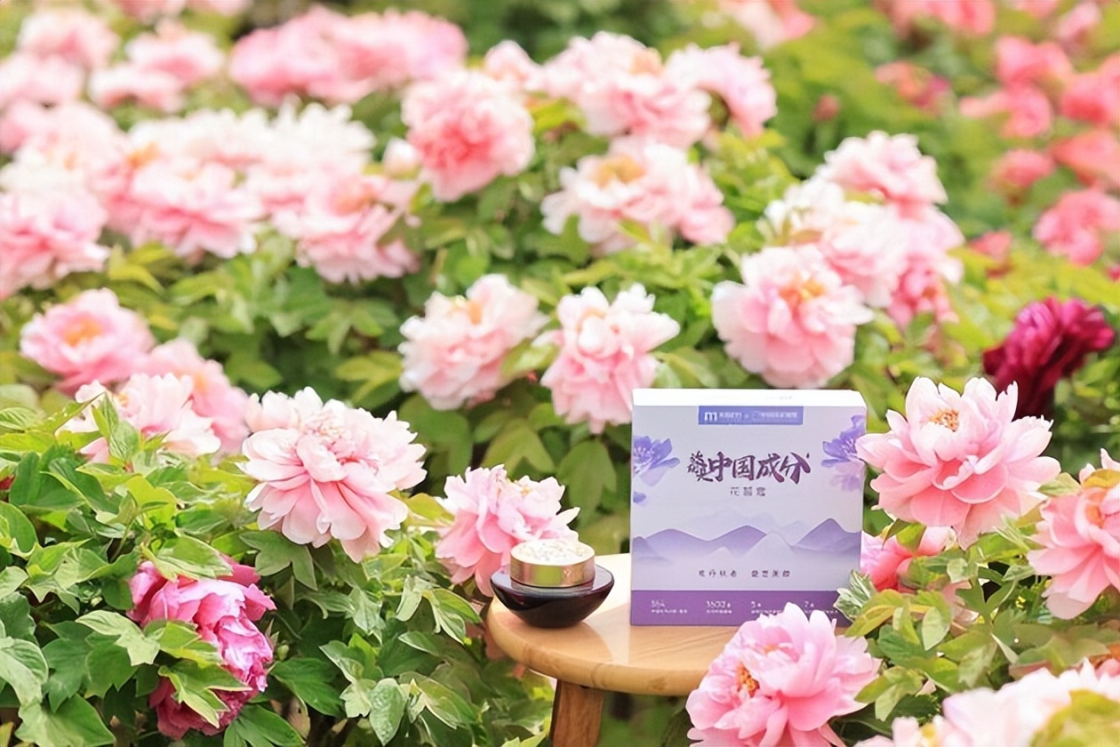 美容护肤花皙蔻,新赛道新风口护肤