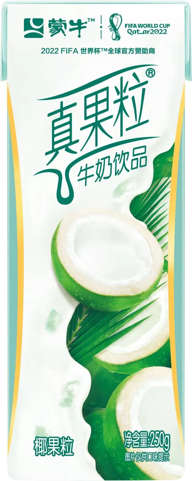 2022卡塔尔世界杯32强巡礼巴西,卡塔尔世界杯32强巡礼伊朗