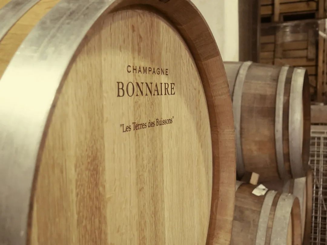 香槟葡萄园旅行,旅游香槟