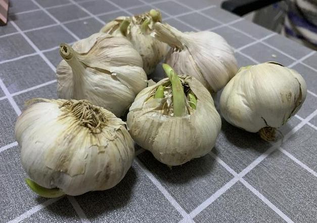 凉席怎么清洗没有酒精,凉席清洗妙招没有白酒