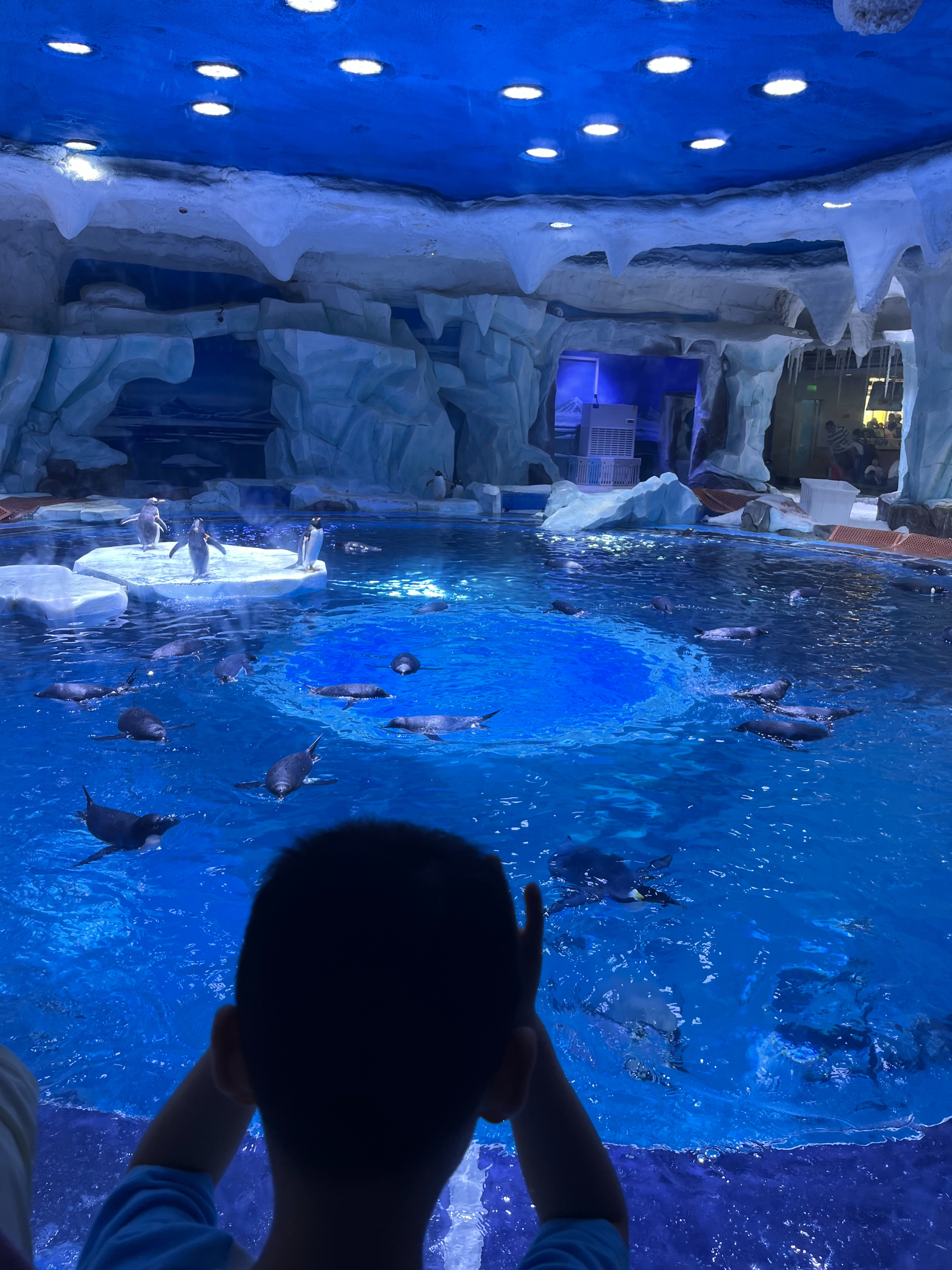 日本奥特曼主题公园旅游,上海奥特曼海昌海洋公园特惠门票