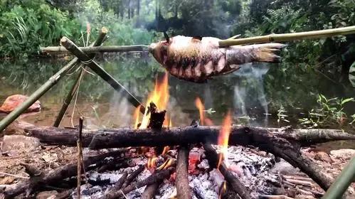 本应该在别人家当“网红”的鱼，现在却为我家乡带来百亿年产值