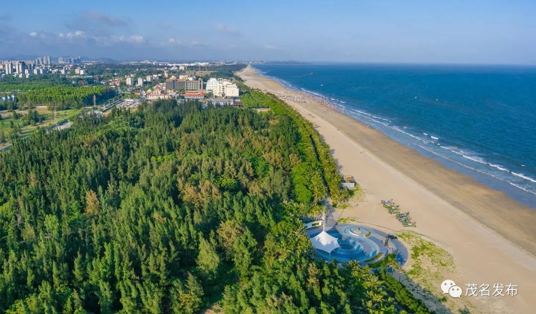 “二次创业”！起而行之，奋进茂名！