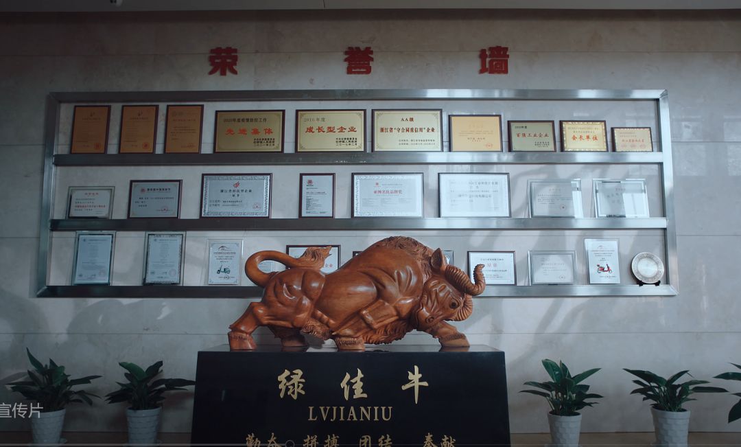 绿佳是一线品牌,绿佳质量