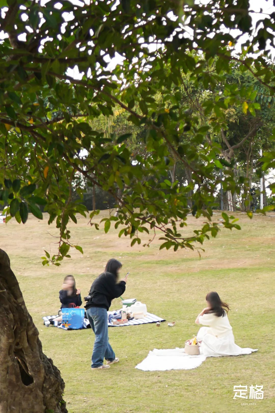 不输大小梅沙！深圳这片海太惊艳