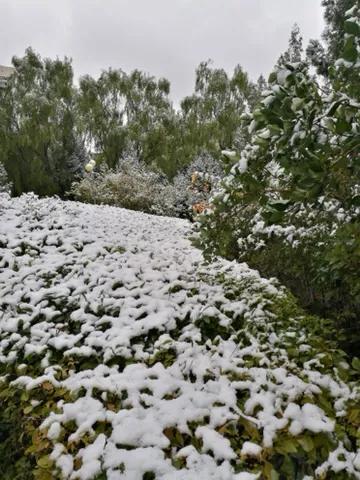 兰州大学萃英学院,央视评价兰州大学