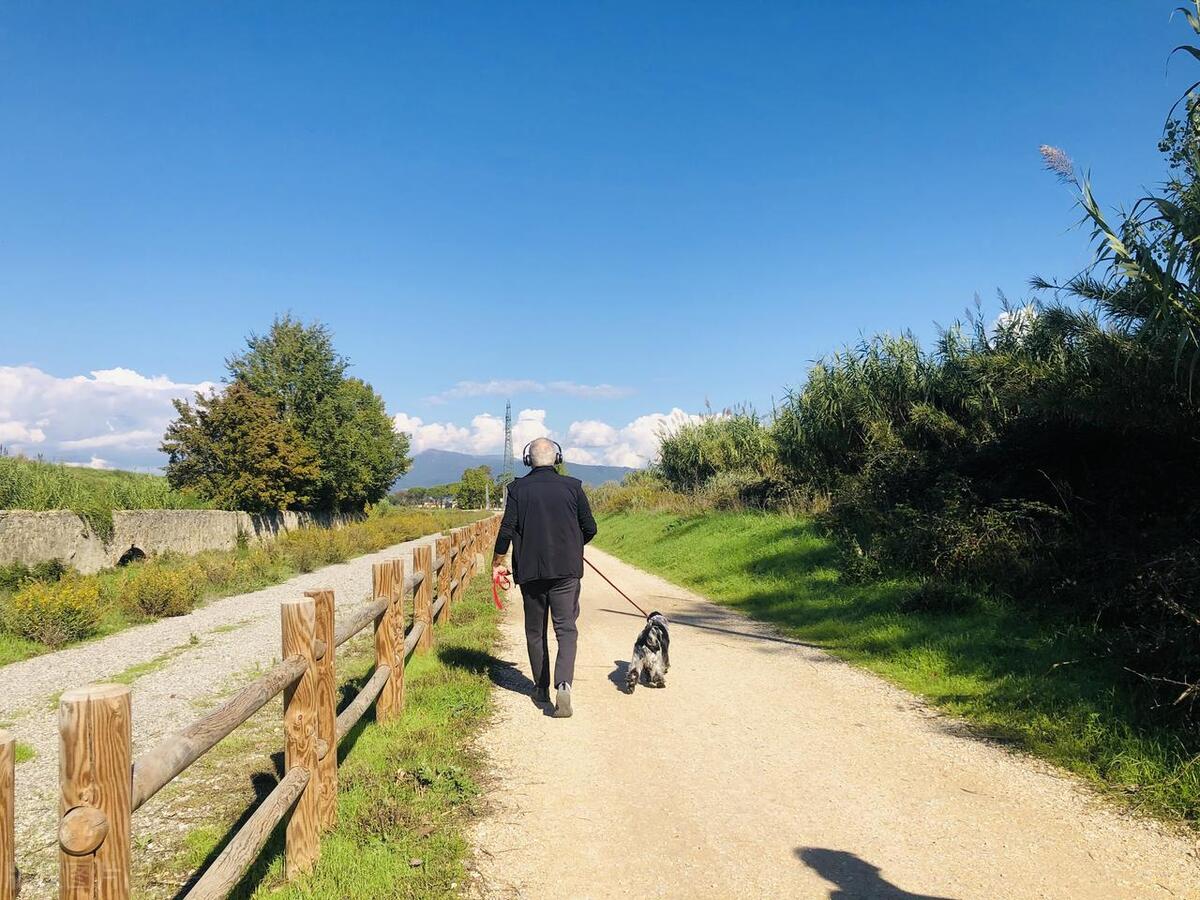 猪来穷狗来富猫来盖白布啥意思,猫来盖白布是什么意思