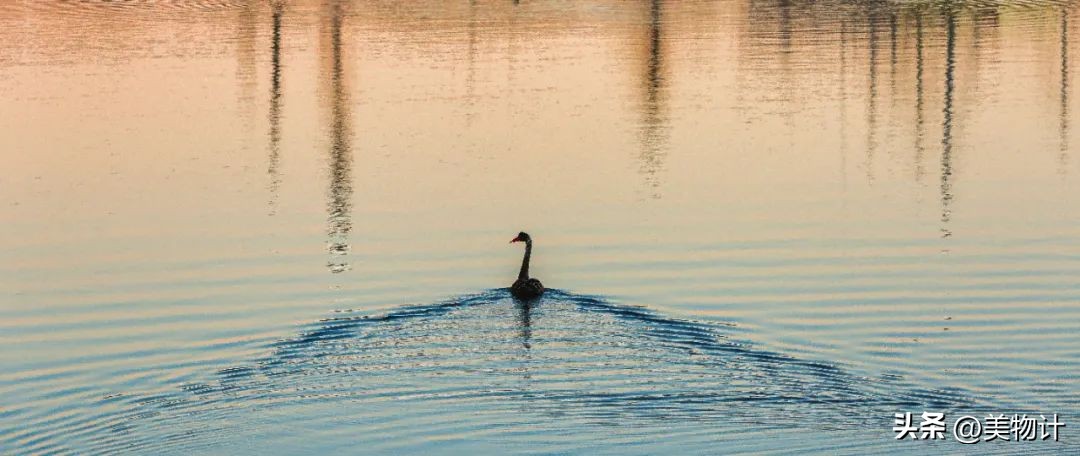 王维禅意诗十首,王维禅意诗