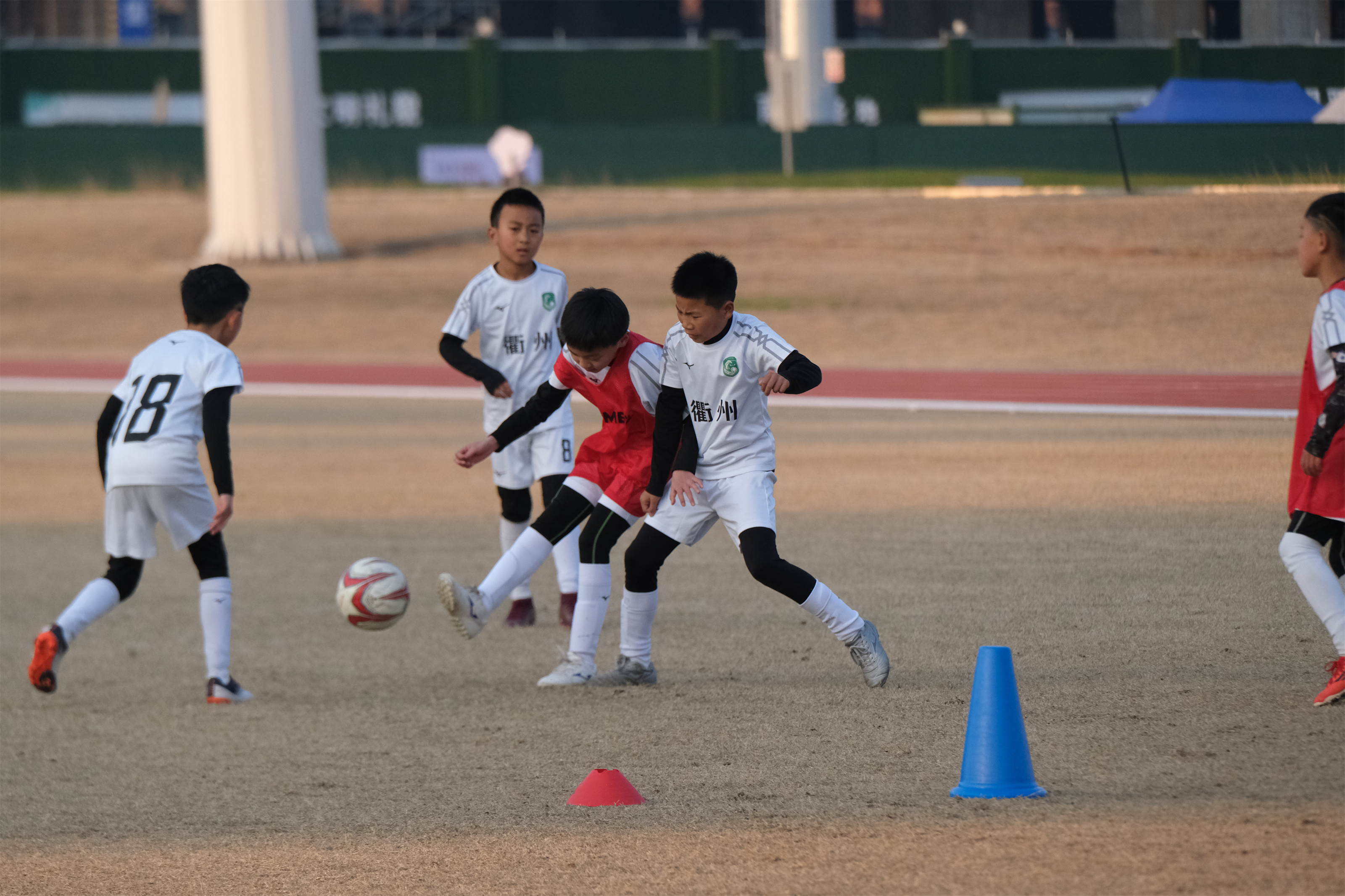 浙能绿城u9,浙江绿城u10梯队