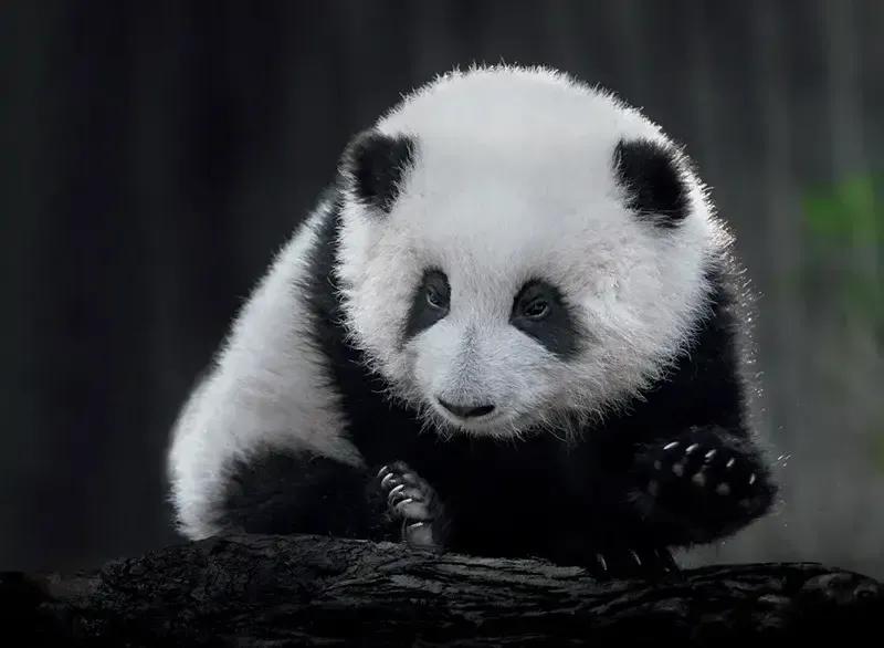 幽默爆笑笑话100个搞笑段子,幽默笑话搞笑段子100篇