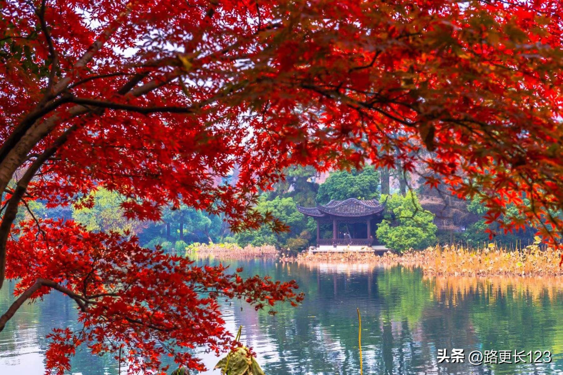 有关秋实的散文,秋实经典散文