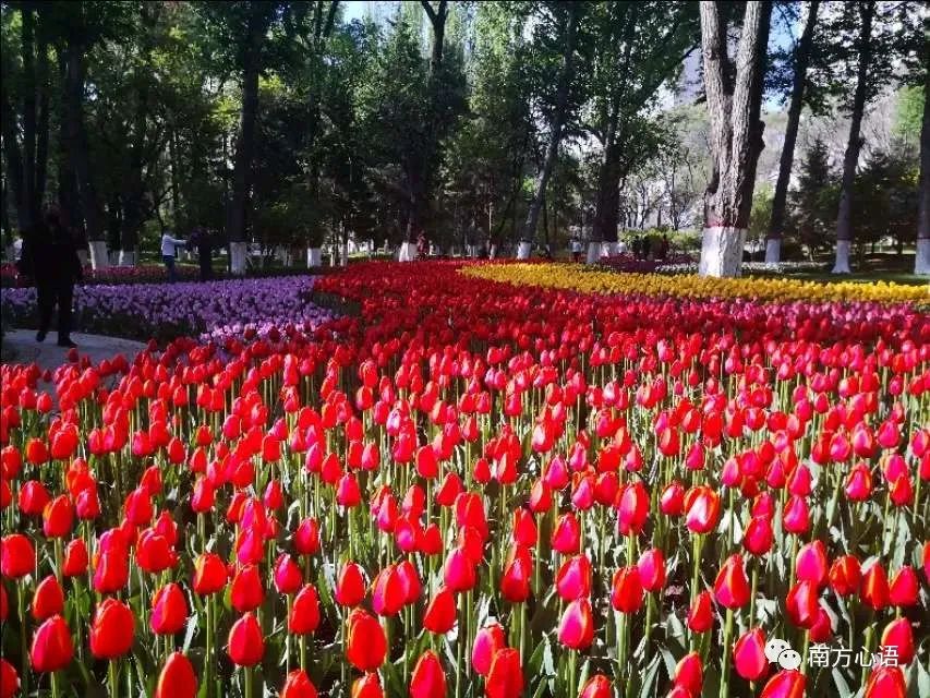 不忘初心方得始终愿岁月静好,念念不忘必有回响方得始终李叔同