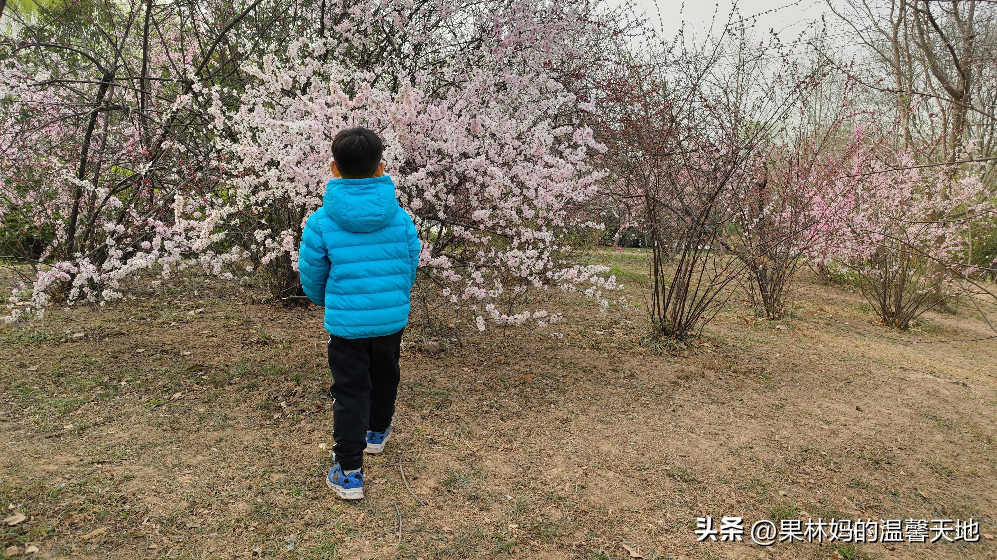 鼻腔有异物可以看急诊吗,晚上鼻腔异物看急诊