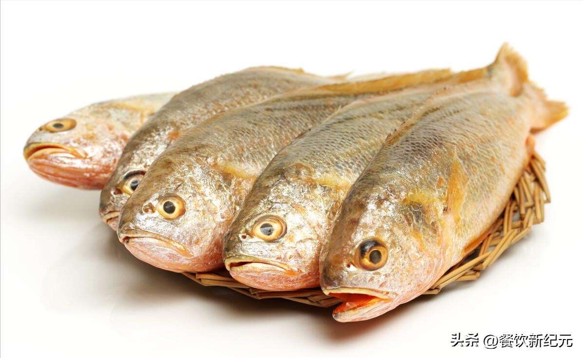 五种便宜人工不能养殖的鱼 (买什么鱼不能人工养殖)