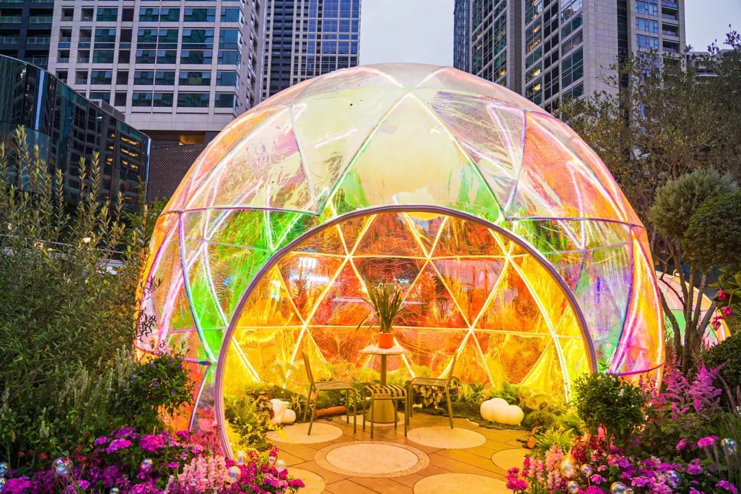 乐购深圳福田,乐购深圳在哪抢购东西