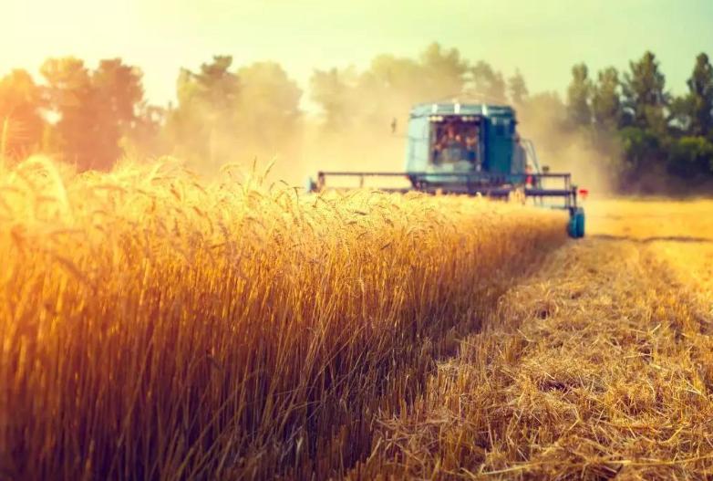 农业扶贫的正确方式,农业技术方面对扶贫的帮助