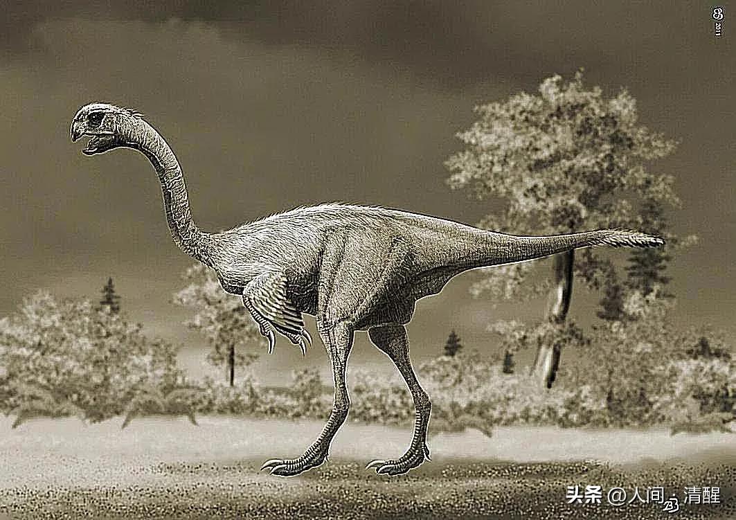 有翅膀的恐龙大全有图片有名字,带羽毛的恐龙名字及图片