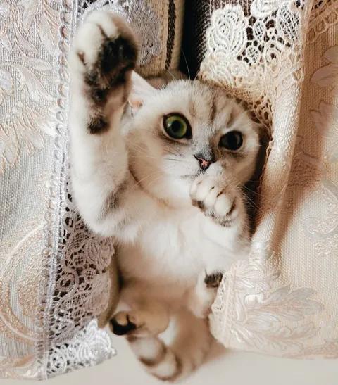 商品房楼上噪音太吵是普遍现象吗,住楼房嫌吵怎么办