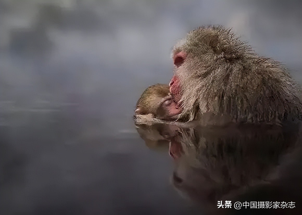 108张令人惊讶的历史与自然照片,有颠覆你认知的那张吗?