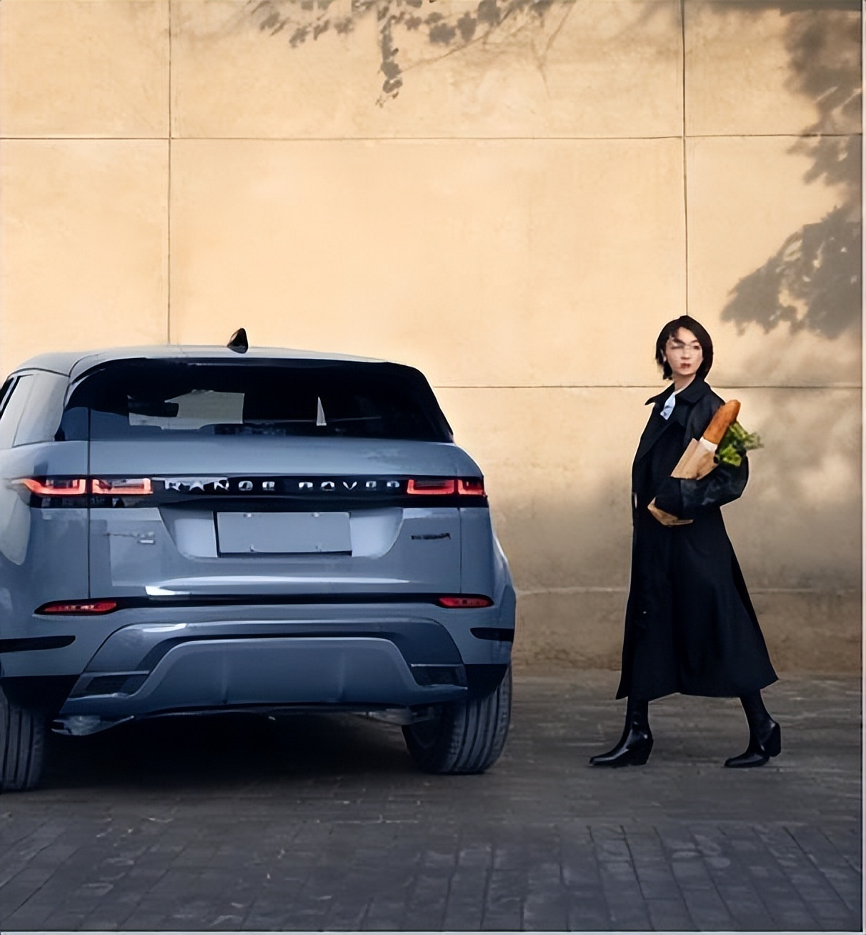 马思纯周冬雨罗晋,周冬雨马思纯三金影后