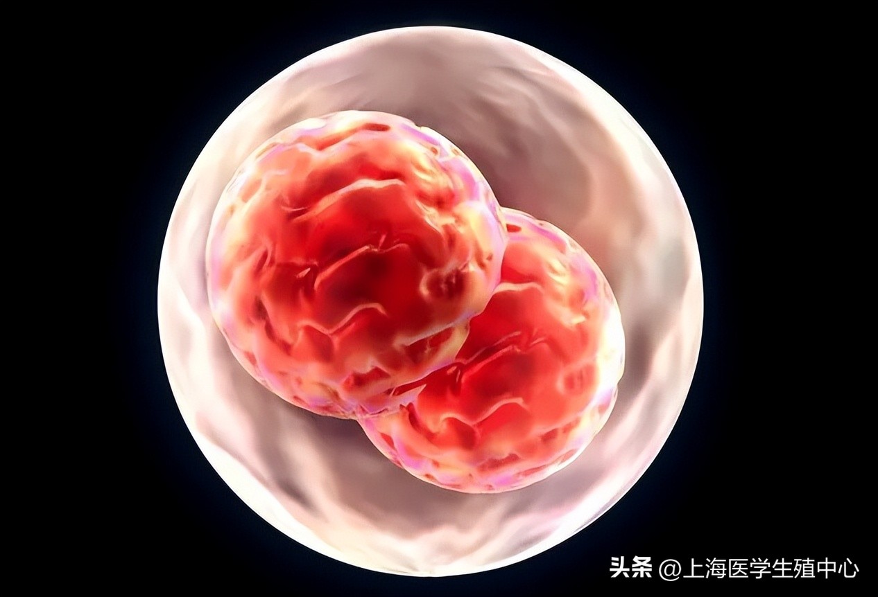 明明有排卵为什么会不孕,明明有排卵为什么怀不上