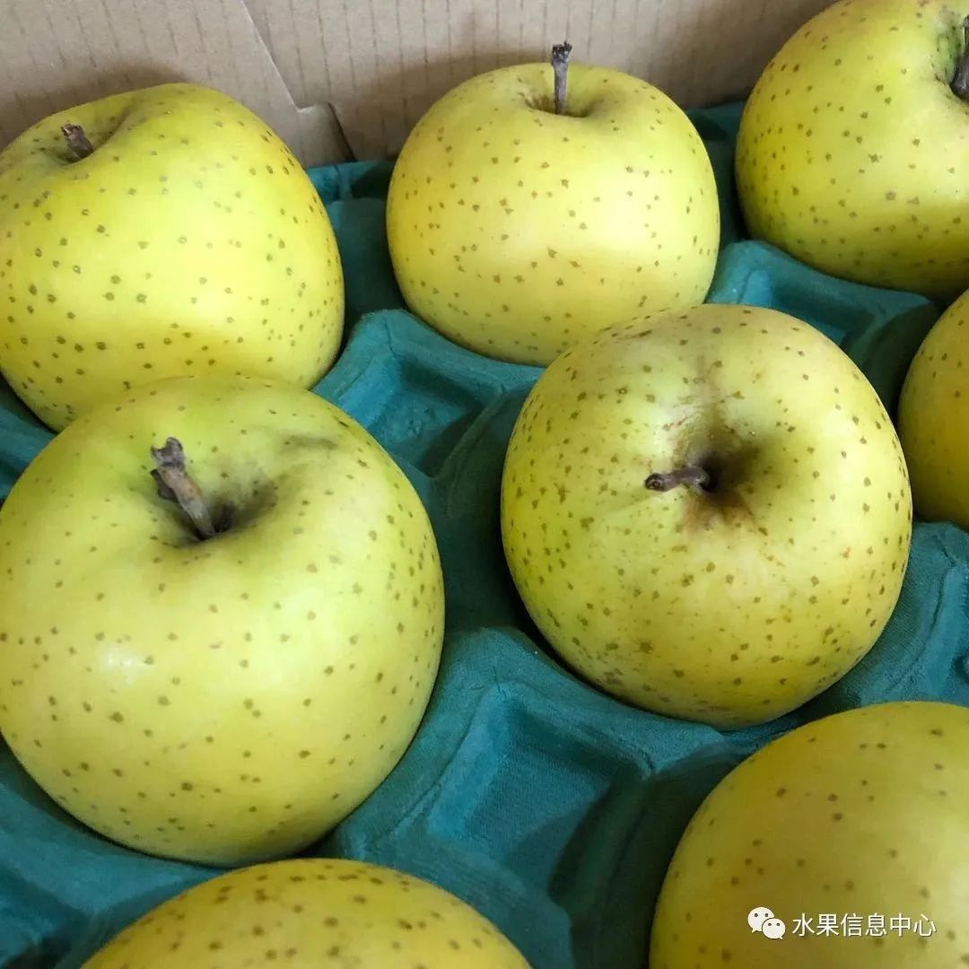 苹果排名第一是哪种苹果,苹果品种好吃排名