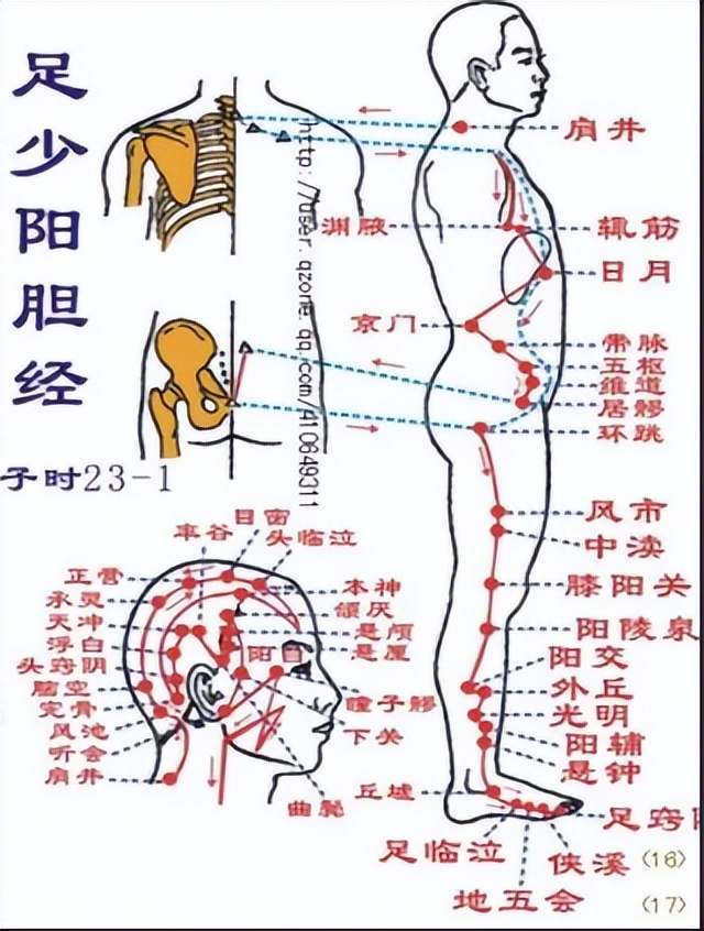 肝火上逆耳鸣口苦中成药,耳鸣口苦肝火旺吃三种中成药