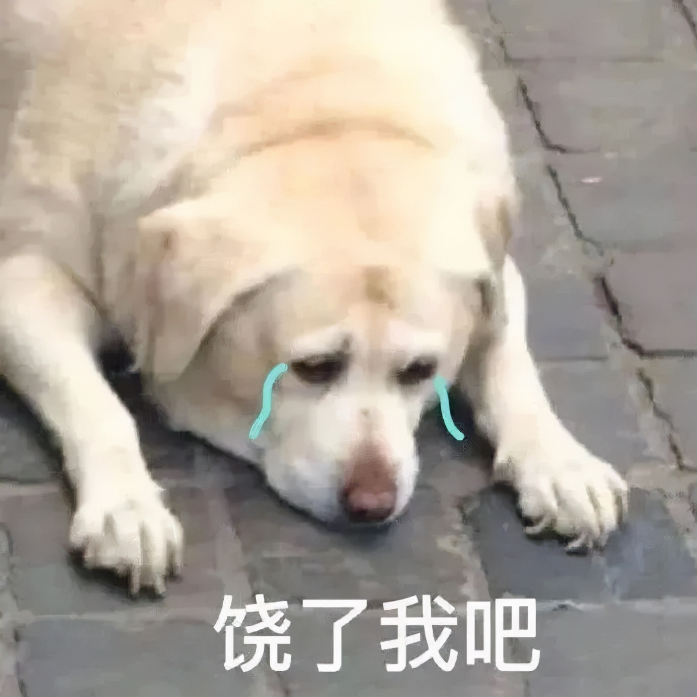 花1.4万吃了顿午饭后，全国人民都知道我了哈哈哈哈