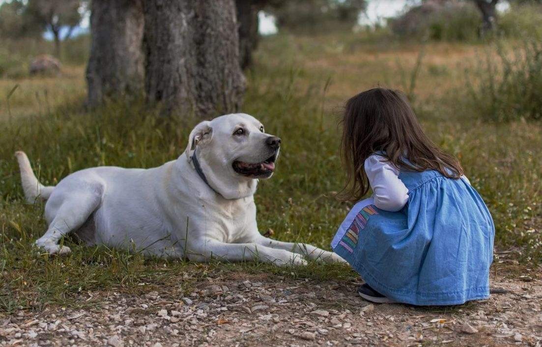 养宠物对抑郁症的孩子有好处么,养宠物的好处和坏处有什么